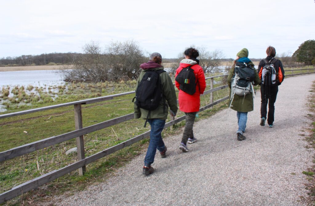Fyra personer går på en grusad gångväg längs ett staket. I bakgrunden syns vatten.