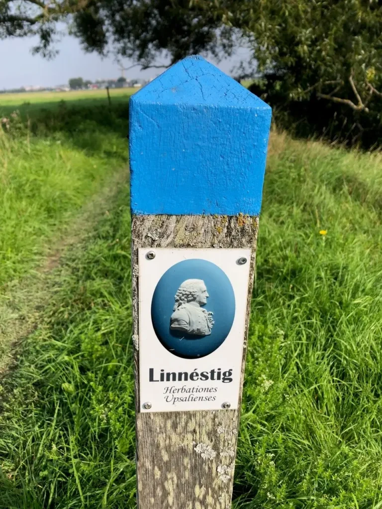 En Linnéstigsskylt