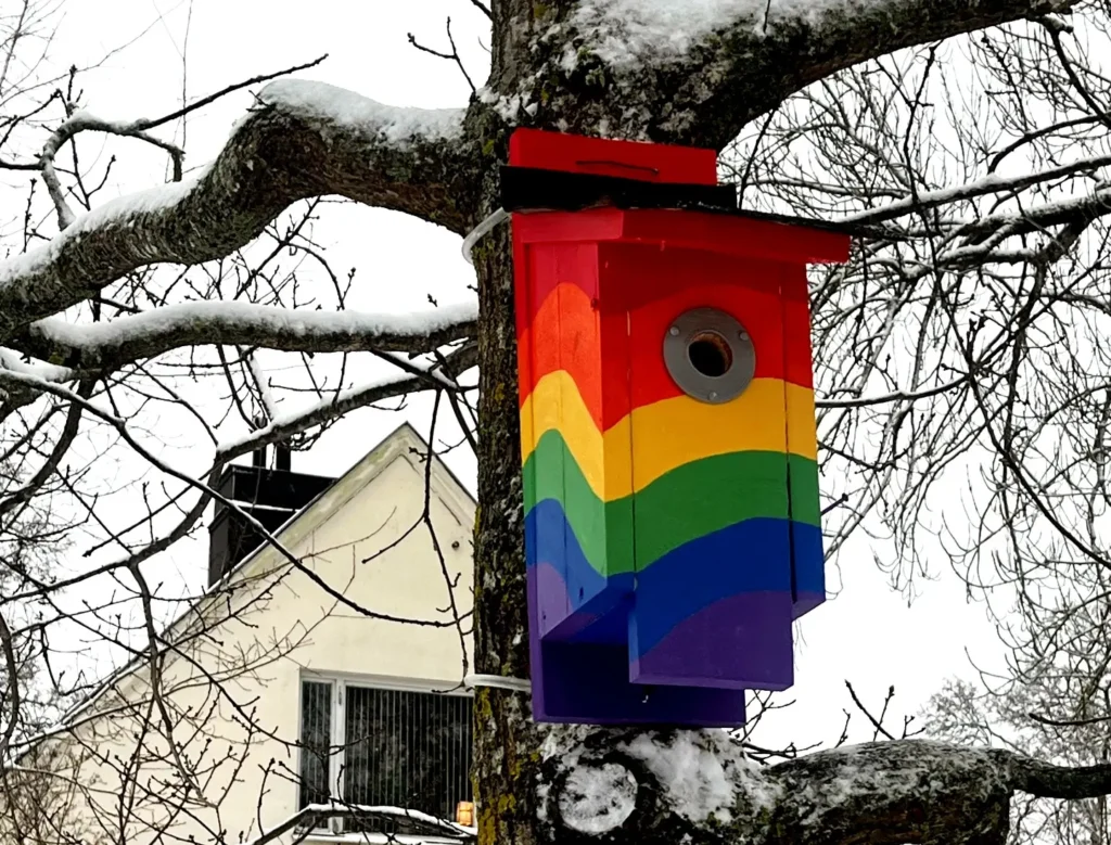 en fågelholk uppsatt på ett träd