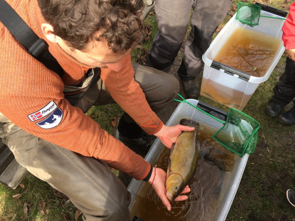 En man sitter vid en plastbalja och håller en fisk i händerna.