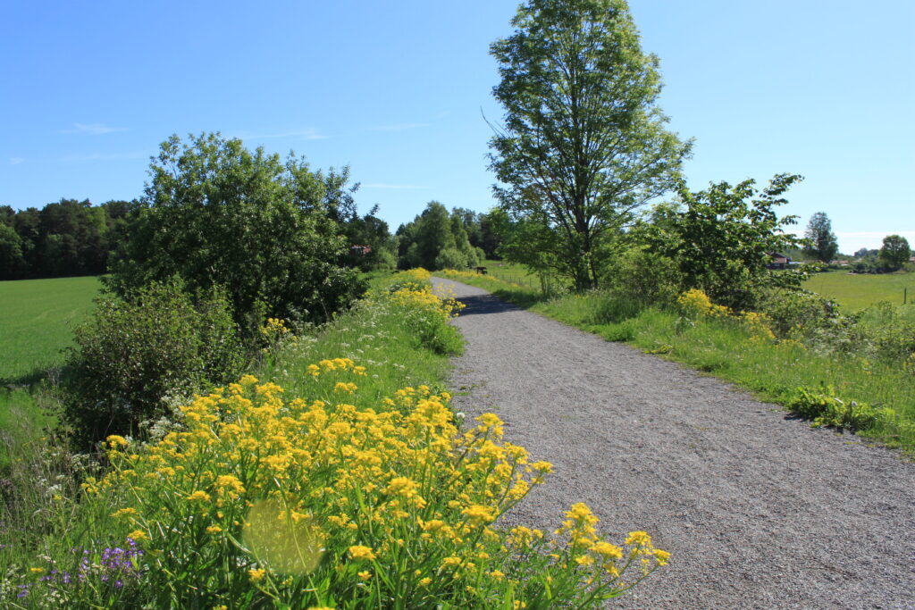 Banvallen i början av Fjärilsstigen