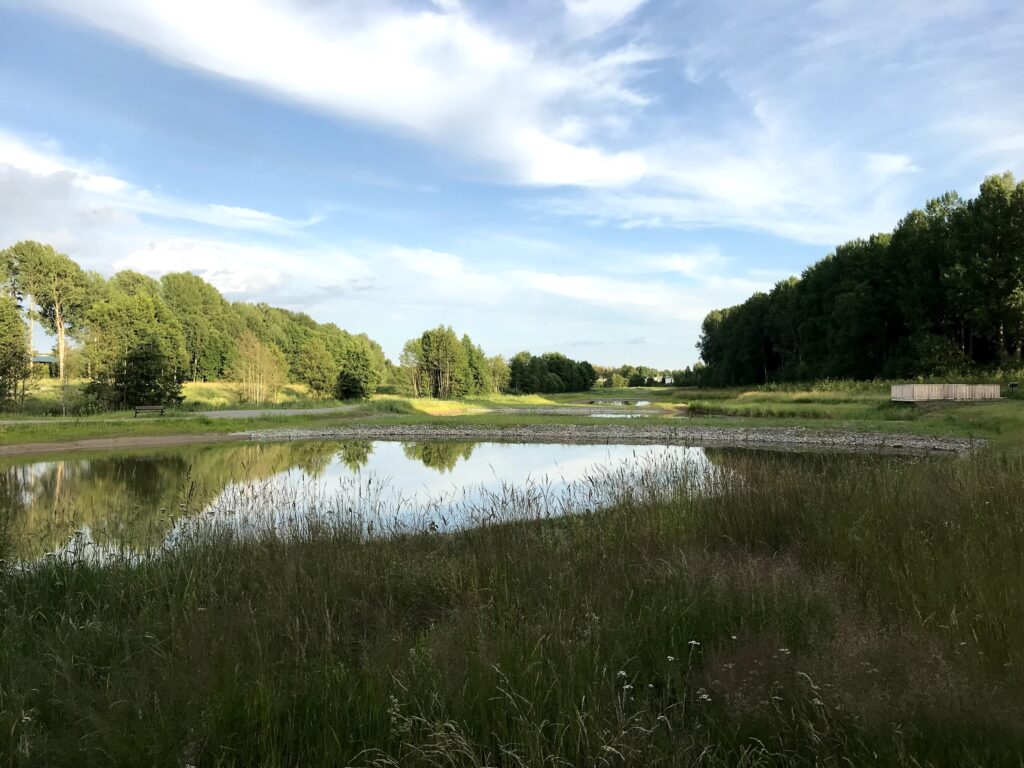 Utsikt över dammarna i Balders hage