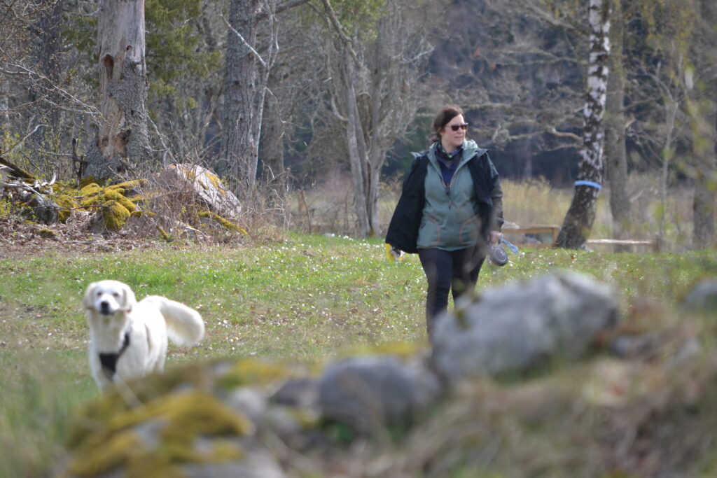 En kvinna och en hund promenerar på en äng.