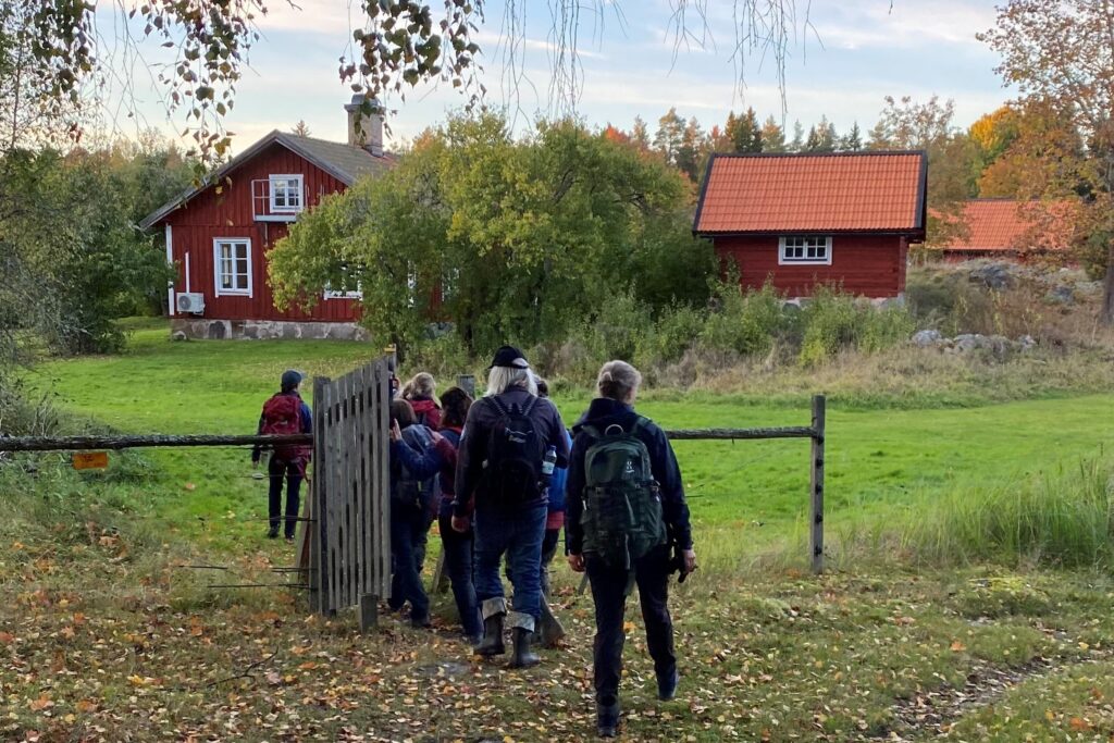 Vandrare som kommer till en gård med röda stugor.