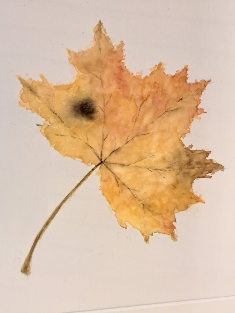 Akvarellmålningsmaterial