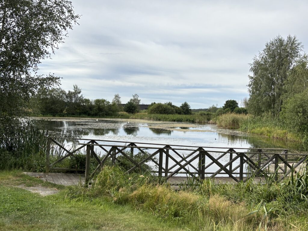 En träbro över en liten damm i Korsängens vattenpark