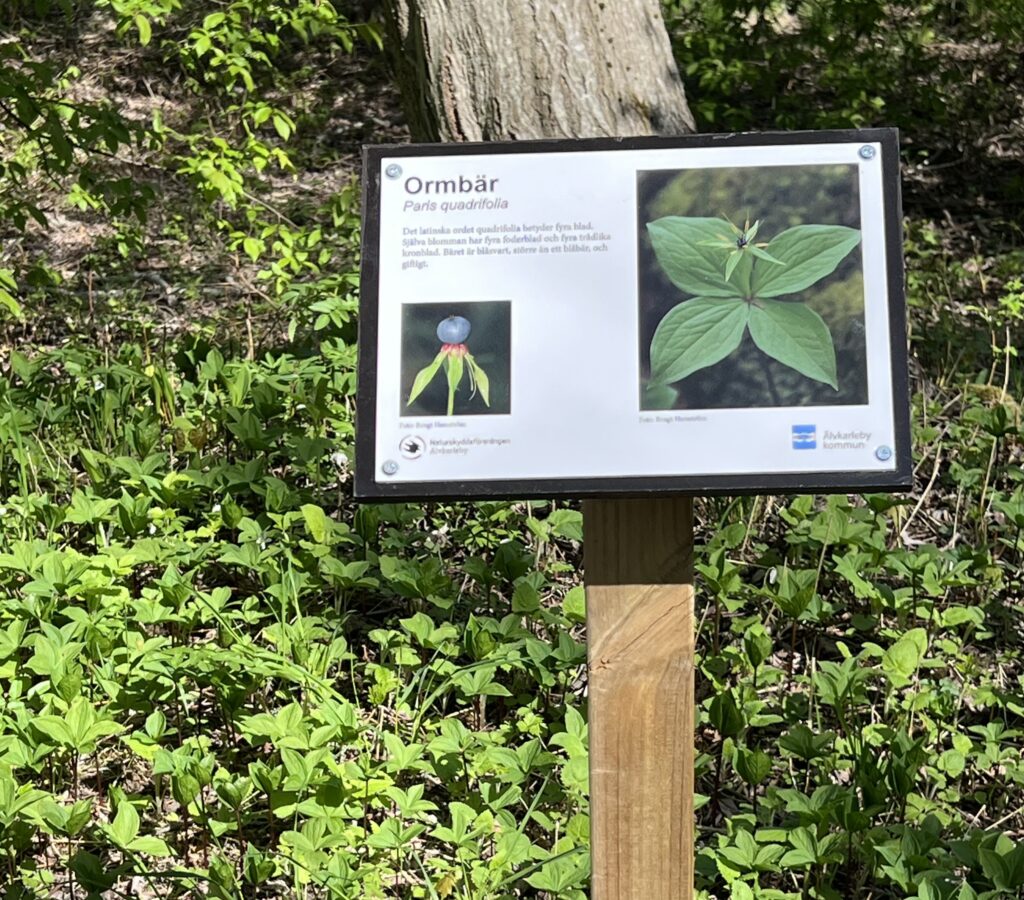 Skylt med växt utomhus