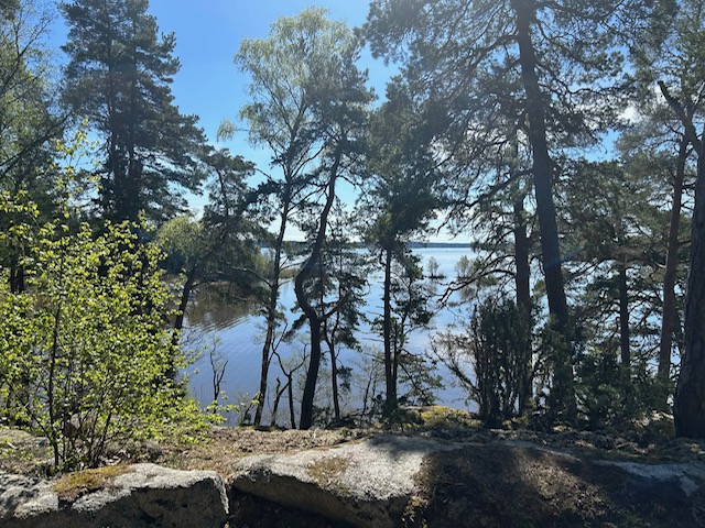 Nederby friluftsområdet bjuder på branta klippor ner mot Mälarens vatten och en hel del gamla träd.