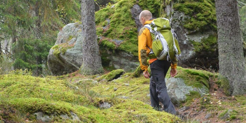 Vandrare i trollskog
