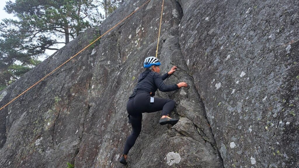 Klättrare vid Dalkarlskärret