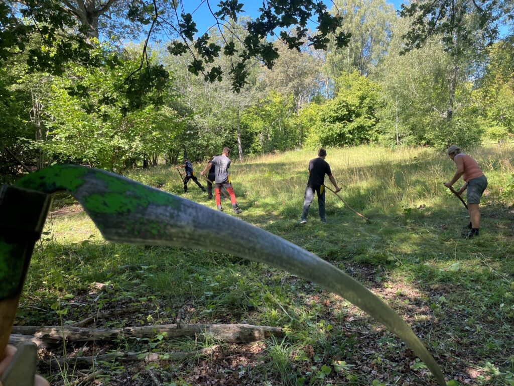 Folk som slår en äng
