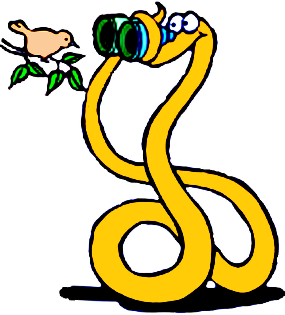 En snok som studerar naturen