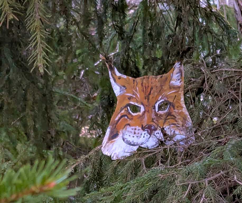 En ansiktsmask inspirerad av lodjur